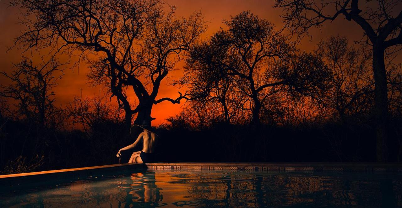 Safari Moon Luxury Bush Lodge フッドスプルイト エクステリア 写真