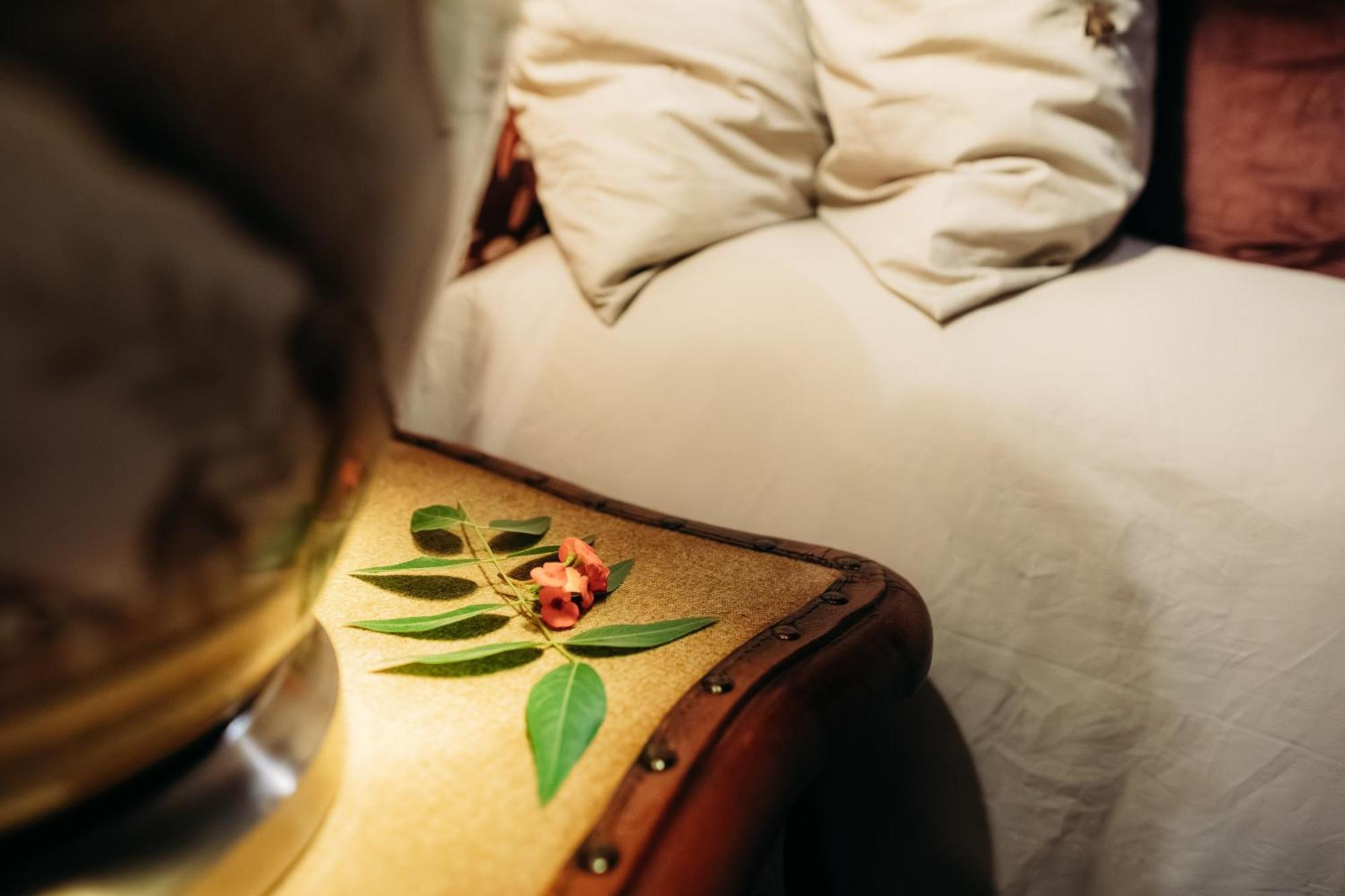 Safari Moon Luxury Bush Lodge フッドスプルイト エクステリア 写真
